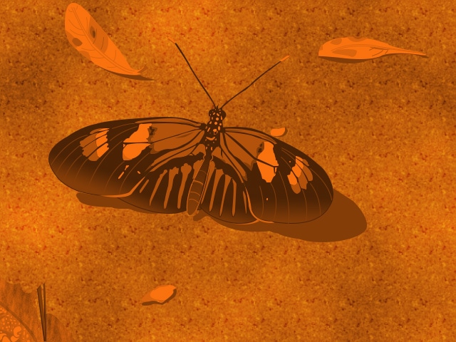 Vector Drawing of a Butterfly